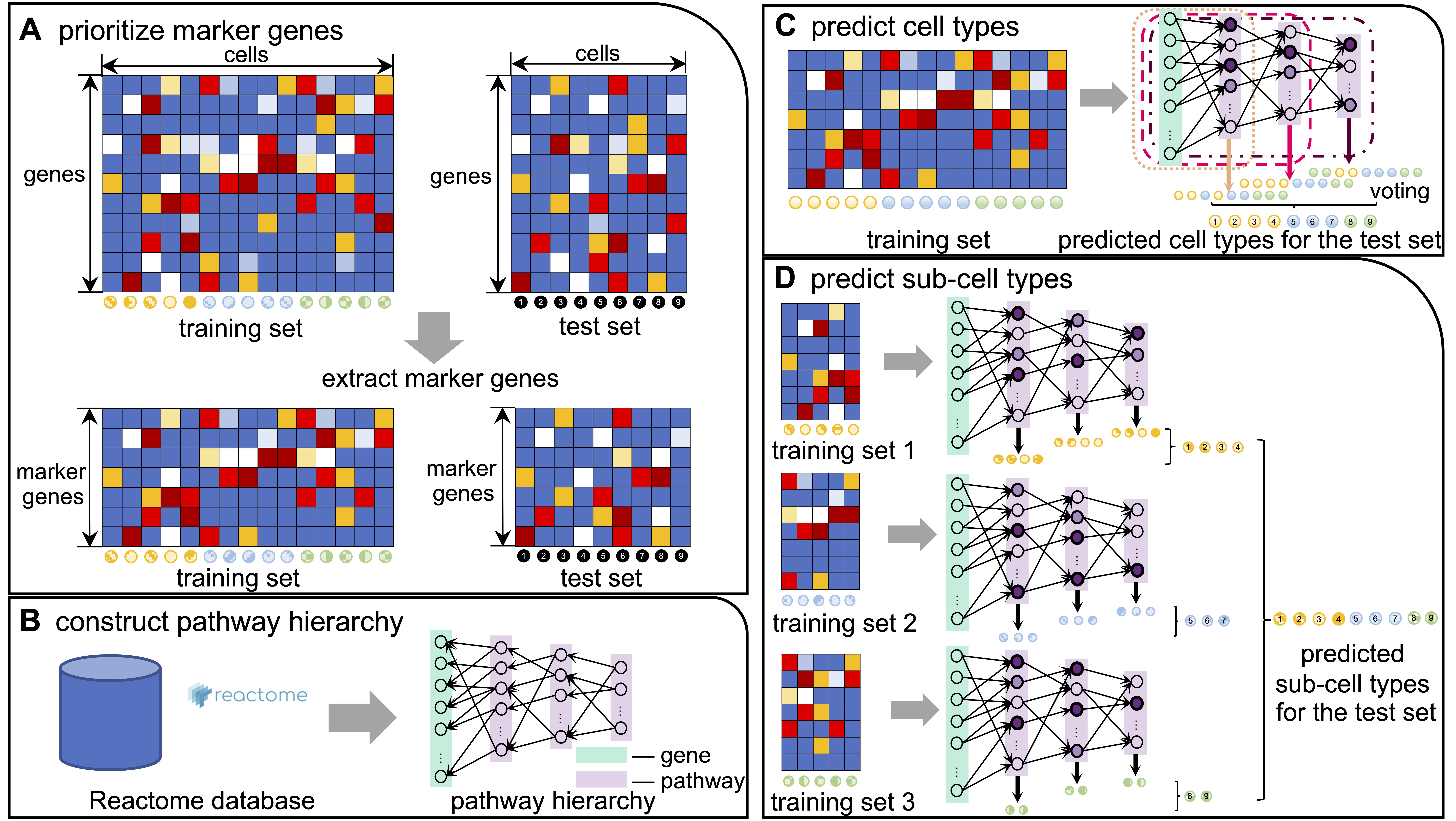 CellTICS: an explainable neural network for cell-type identification and interpretation based on single-cell RNA-seq data